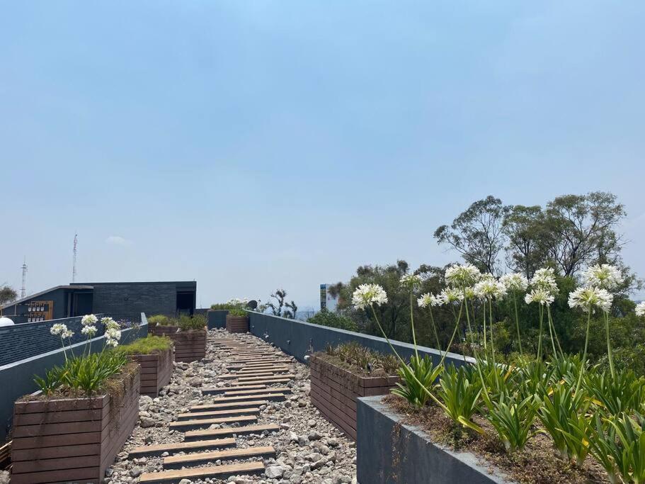 Nuevo Y Ubicado Departamento Zona Santafe Apartment เม็กซิโกซิตี้ ภายนอก รูปภาพ